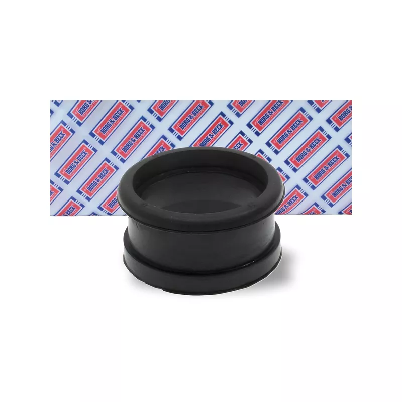 Gaine de suralimentation BORG & BECK BTH1290 - Visuel 1