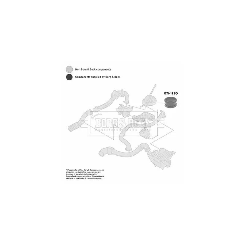 Gaine de suralimentation BORG & BECK BTH1290 - Visuel 2