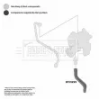 BORG & BECK BTH1299 - Tuyau d'huile