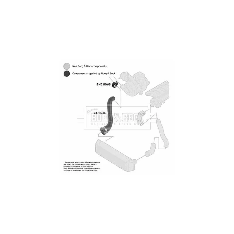 Gaine de suralimentation BORG & BECK BTH1315 - Visuel 2