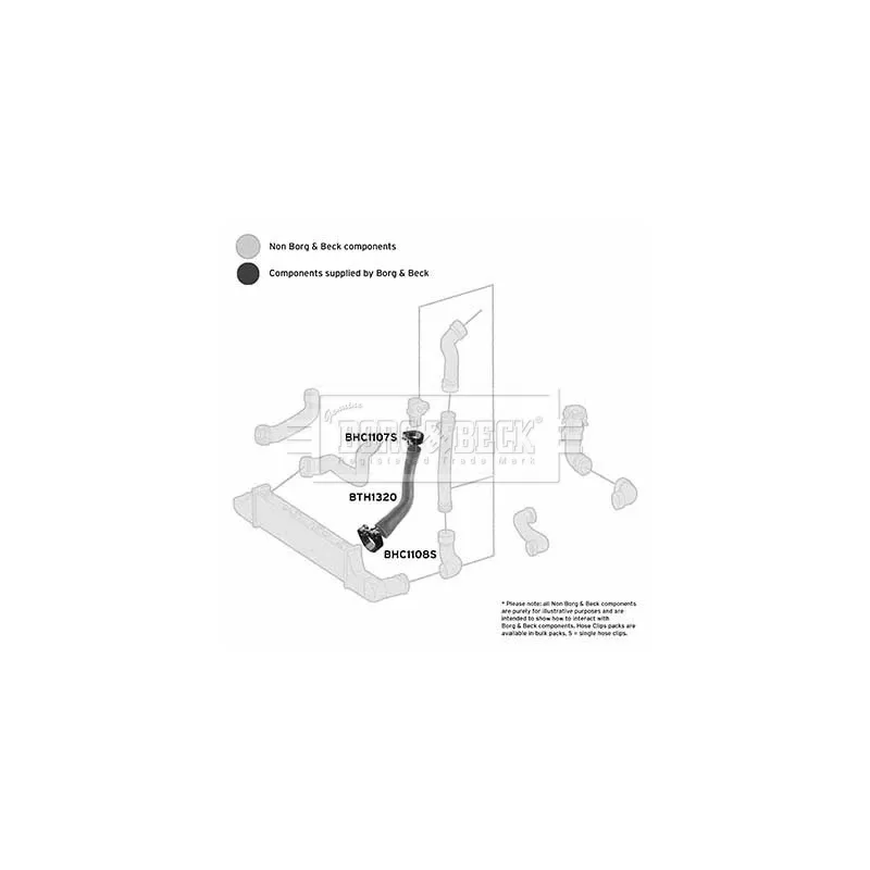 Gaine de suralimentation BORG & BECK BTH1320 - Visuel 2