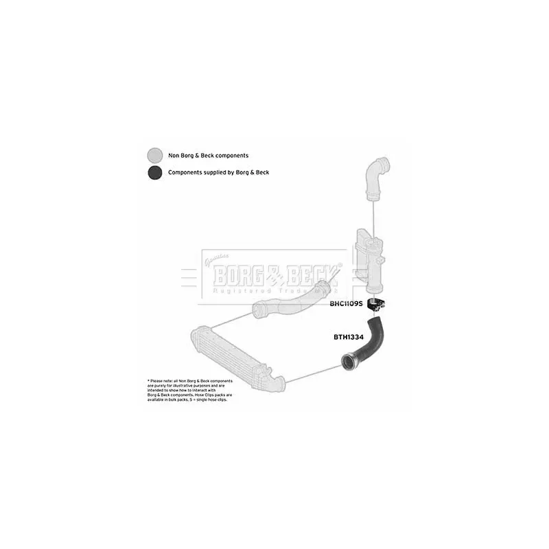 Gaine de suralimentation BORG & BECK BTH1334 - Visuel 2