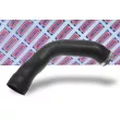 BORG & BECK BTH1346 - Gaine de suralimentation