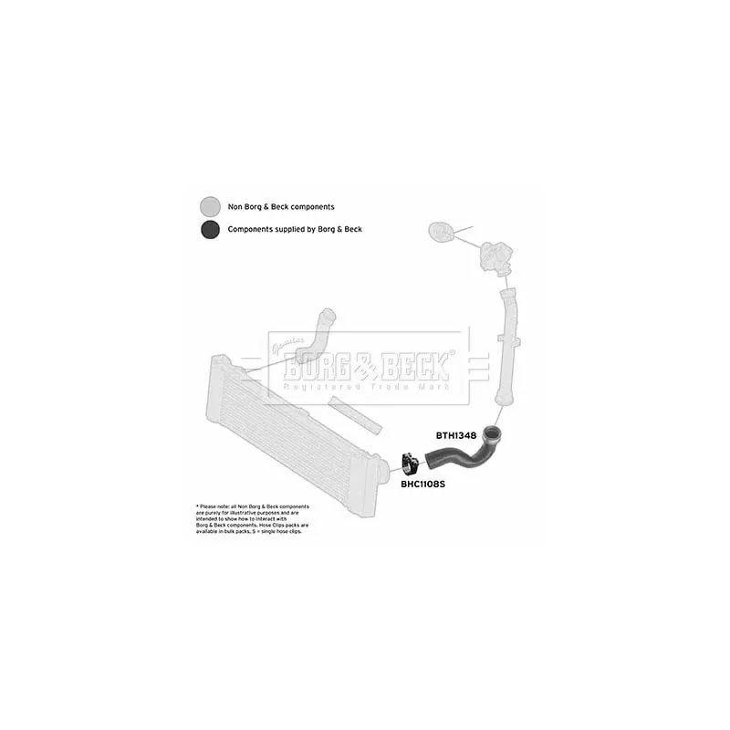 Gaine de suralimentation BORG & BECK BTH1348 - Visuel 2