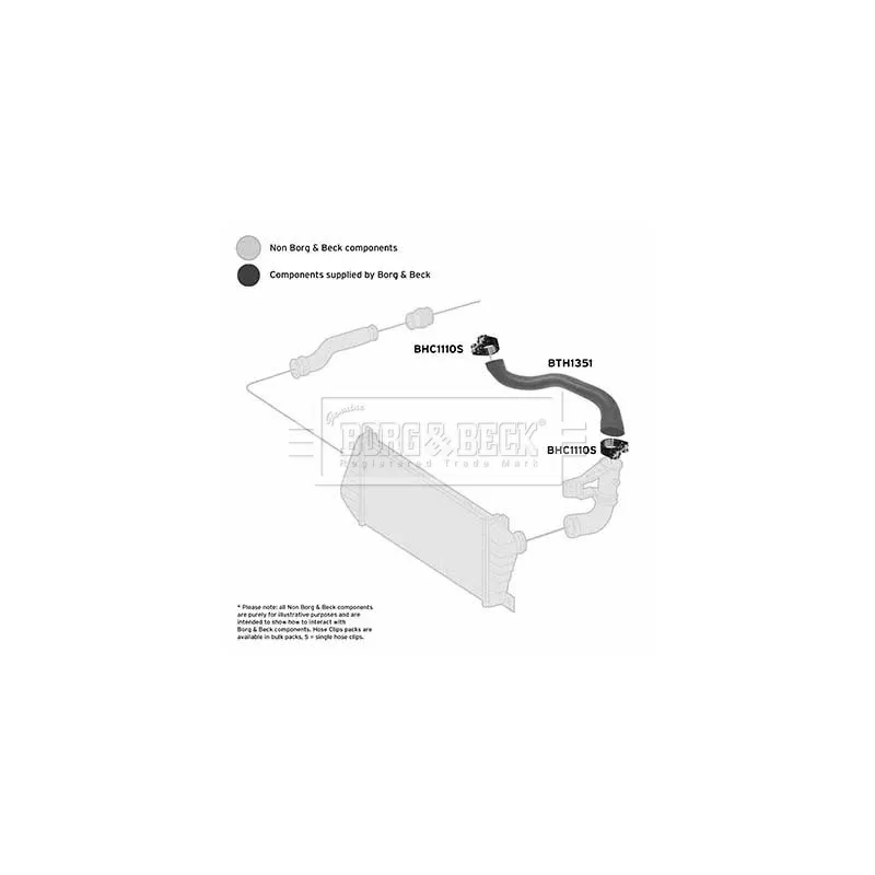 Gaine de suralimentation BORG & BECK BTH1351 - Visuel 2