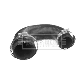 Gaine de suralimentation BORG & BECK OEM 5860921
