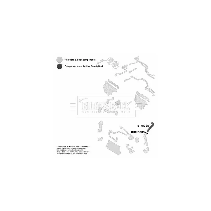 Gaine de suralimentation BORG & BECK BTH1385 - Visuel 2