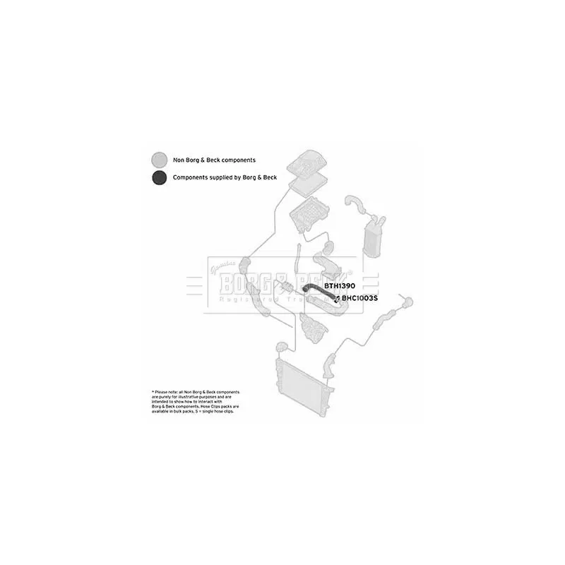 Gaine de suralimentation BORG & BECK BTH1390 - Visuel 2