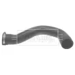 BORG & BECK BTH1391 - Gaine de suralimentation
