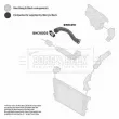 BORG & BECK BTH1391 - Gaine de suralimentation