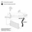 BORG & BECK BTH1394 - Gaine de suralimentation