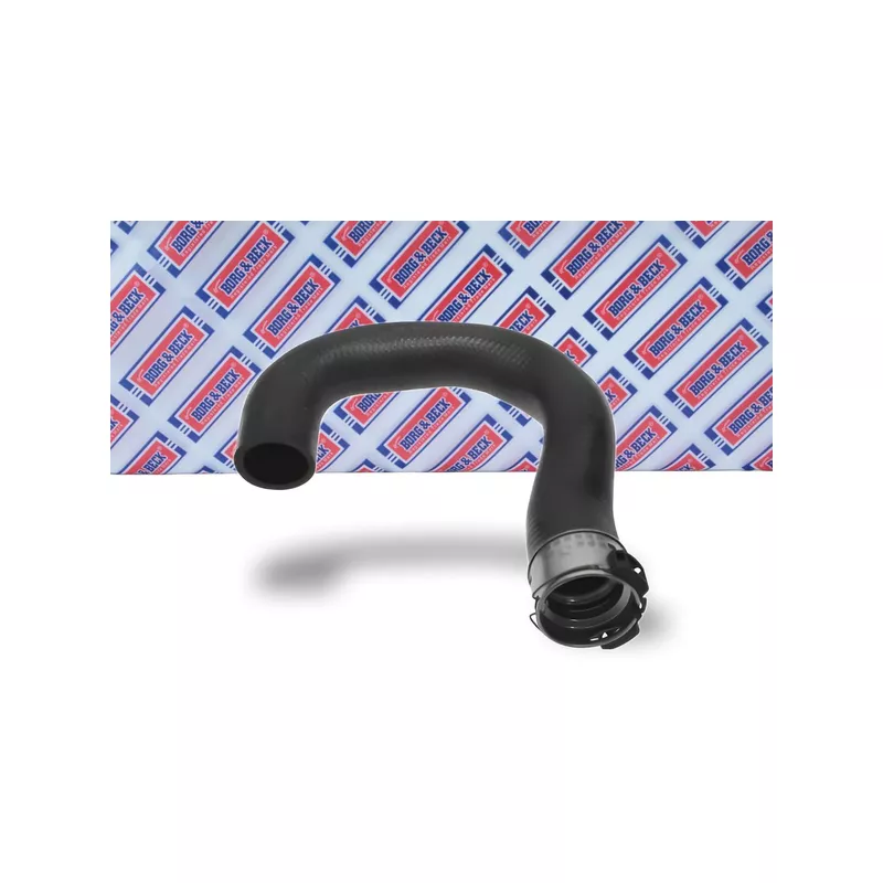 Gaine de suralimentation BORG & BECK BTH1397 - Visuel 1