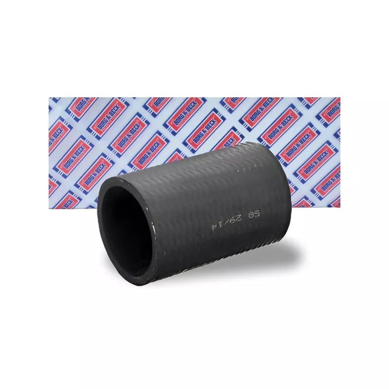 Gaine de suralimentation BORG & BECK BTH1434 - Visuel 1