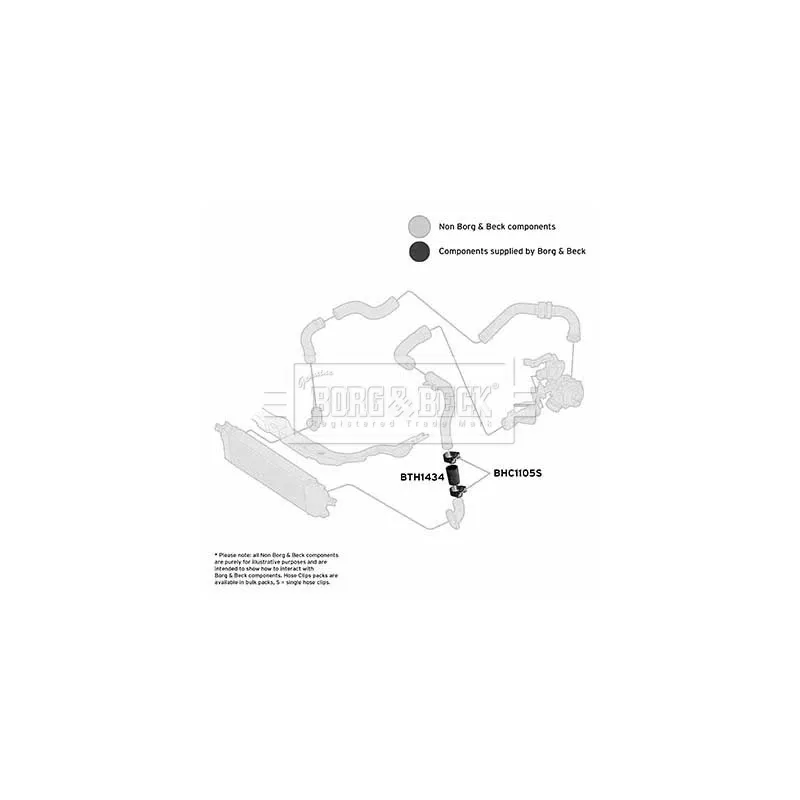 Gaine de suralimentation BORG & BECK BTH1434 - Visuel 2
