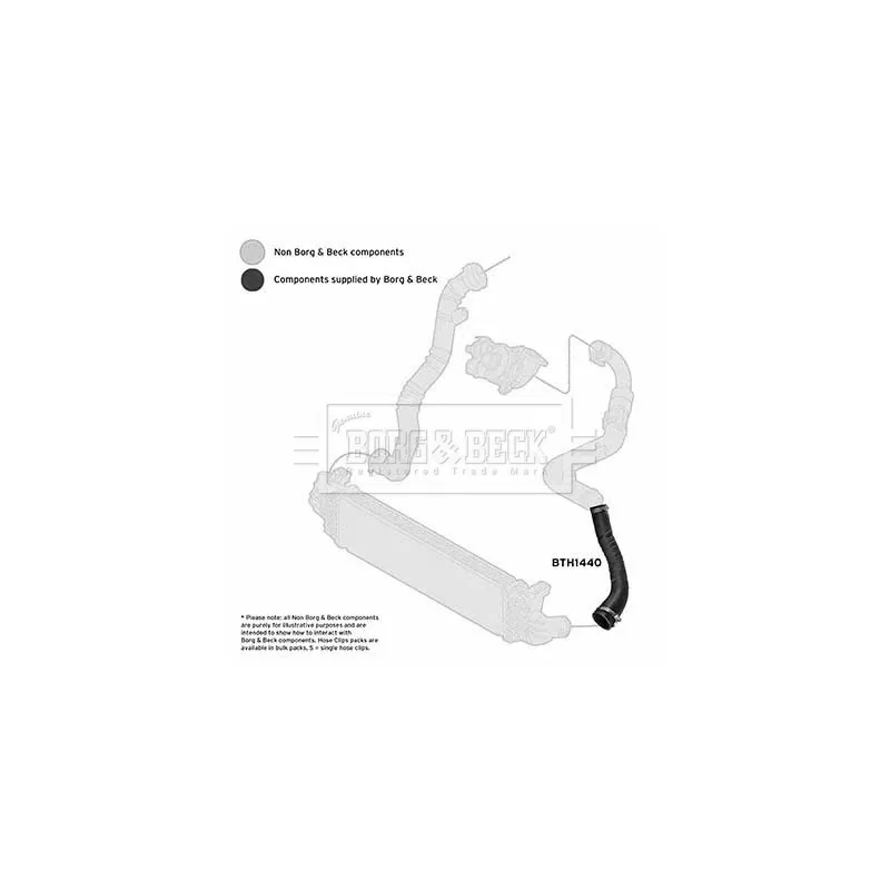 Gaine de suralimentation BORG & BECK BTH1440 - Visuel 2