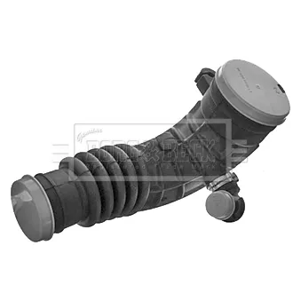 Tuyau d'aspiration, alimentation d'air BORG & BECK BTH1459