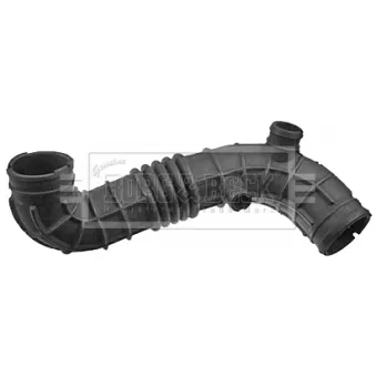 Tuyau d'aspiration, alimentation d'air BORG & BECK BTH1461