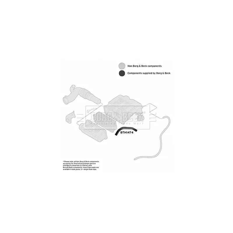Tuyau d'aspiration, alimentation d'air BORG & BECK BTH1474 - Visuel 2
