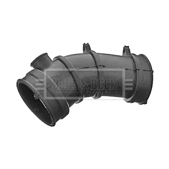 Tuyau d'aspiration, alimentation d'air BORG & BECK BTH1487