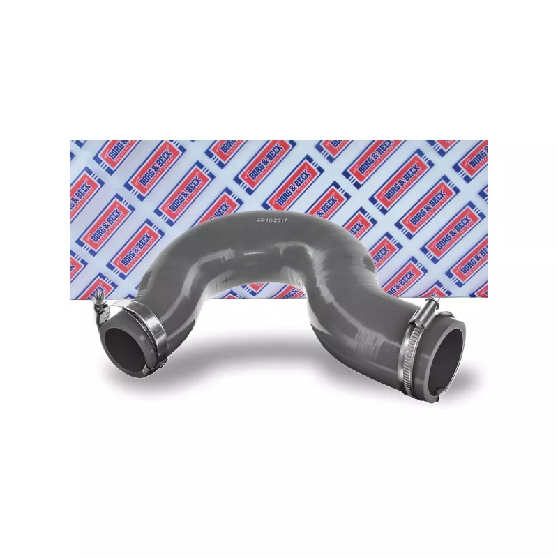 Gaine de suralimentation BORG & BECK BTH1523 - Visuel 1