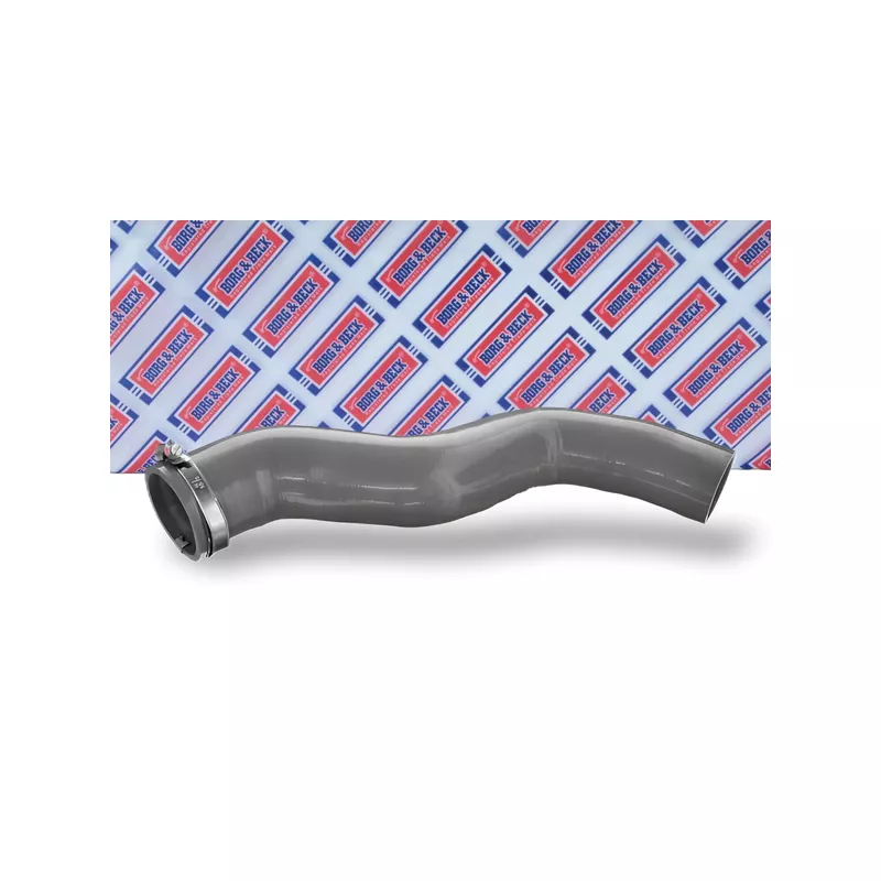 Gaine de suralimentation BORG & BECK BTH1529 - Visuel 1