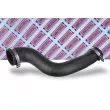 BORG & BECK BTH1535 - Gaine de suralimentation