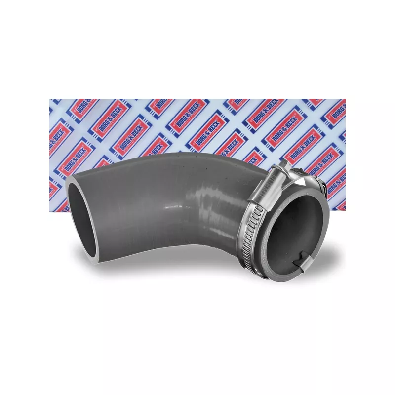 Gaine de suralimentation BORG & BECK BTH1538 - Visuel 1