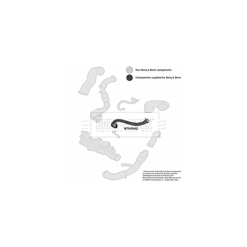 Gaine de suralimentation BORG & BECK BTH1542 - Visuel 2