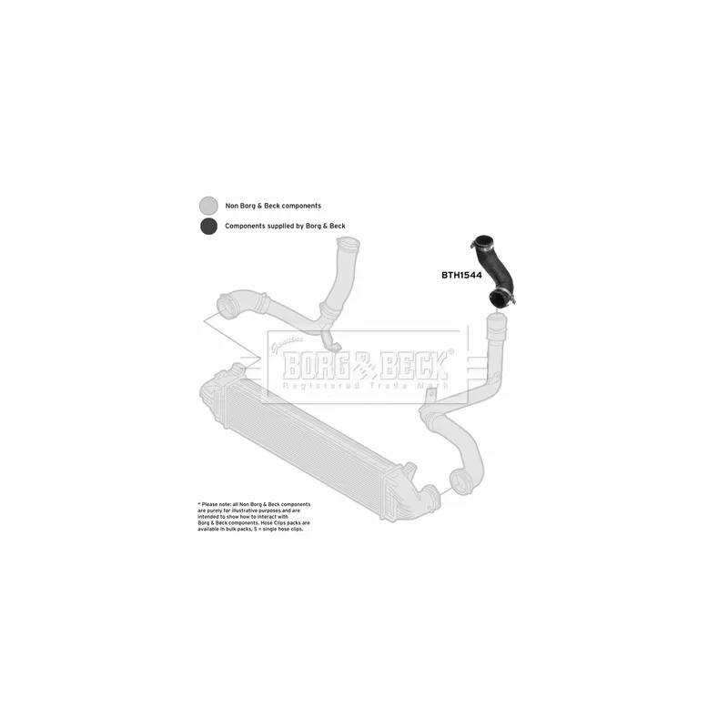 Gaine de suralimentation BORG & BECK BTH1544 - Visuel 2