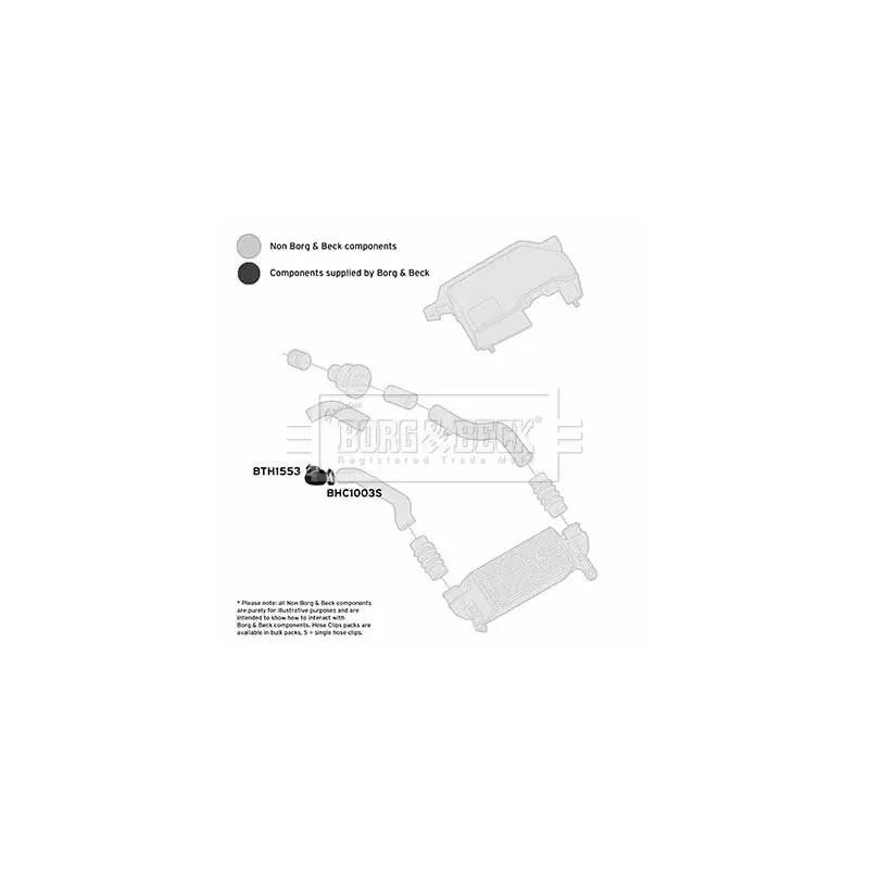 Gaine de suralimentation BORG & BECK BTH1553 - Visuel 2