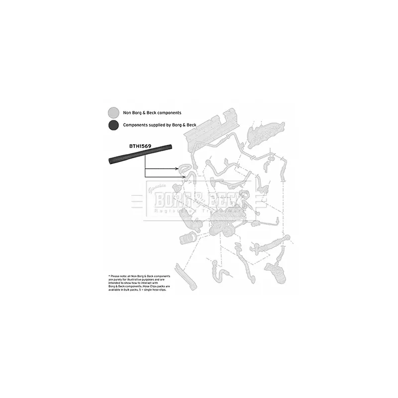 Gaine de suralimentation BORG & BECK BTH1569 - Visuel 2