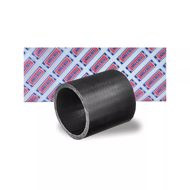 Gaine de suralimentation BORG & BECK BTH1588 - Visuel 1