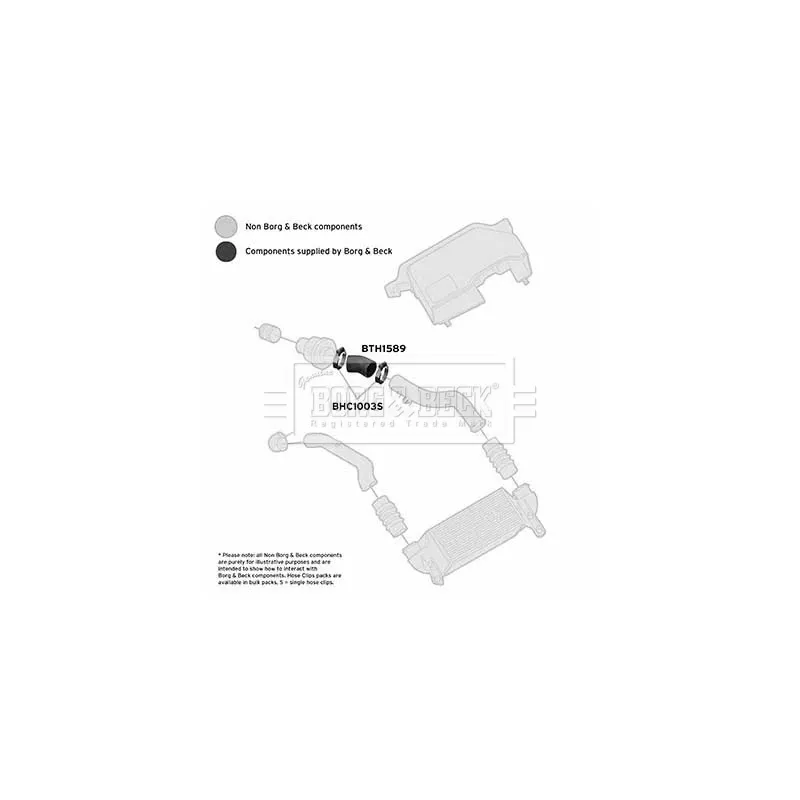 Gaine de suralimentation BORG & BECK BTH1589 - Visuel 2