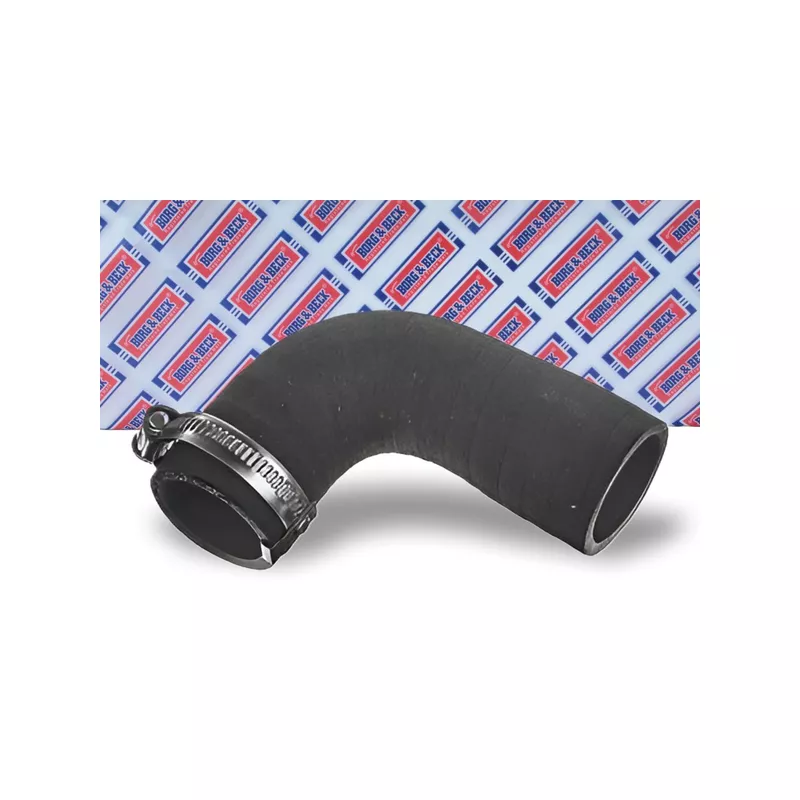 Gaine de suralimentation BORG & BECK BTH1594 - Visuel 1