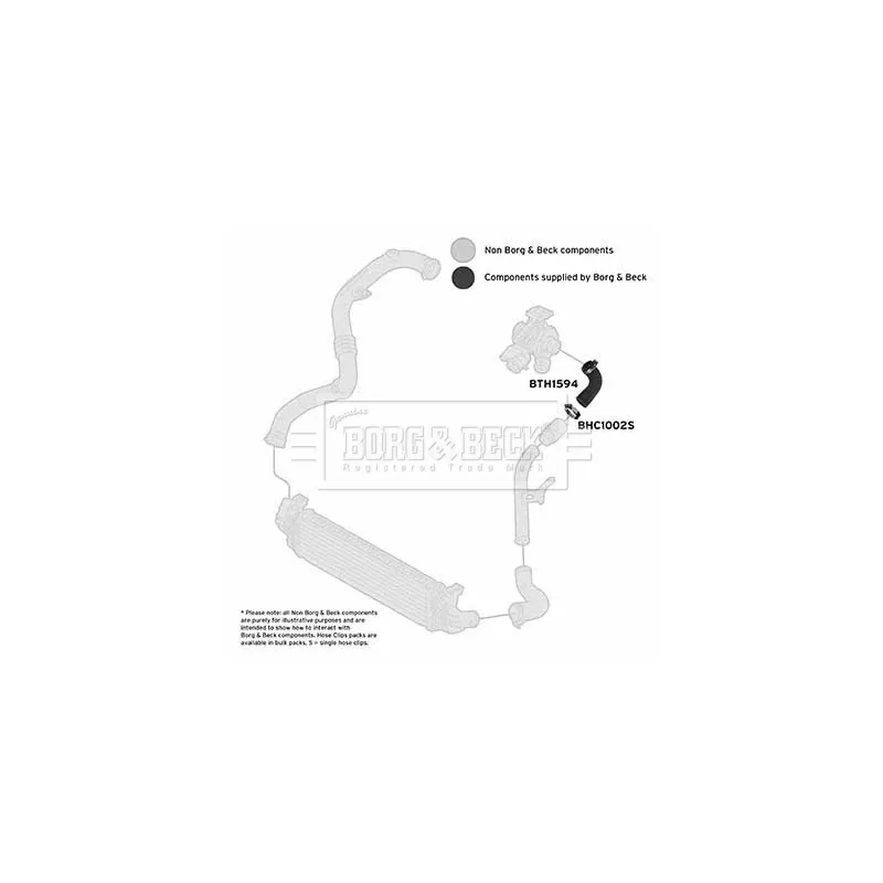 Gaine de suralimentation BORG & BECK BTH1594 - Visuel 2