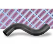 BORG & BECK BTH1598 - Gaine de suralimentation