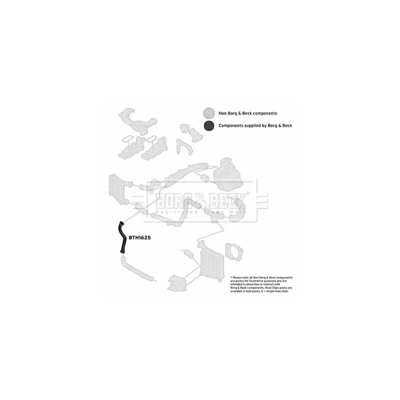 Gaine de suralimentation BORG & BECK BTH1625 - Visuel 2