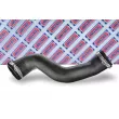 BORG & BECK BTH1626 - Gaine de suralimentation