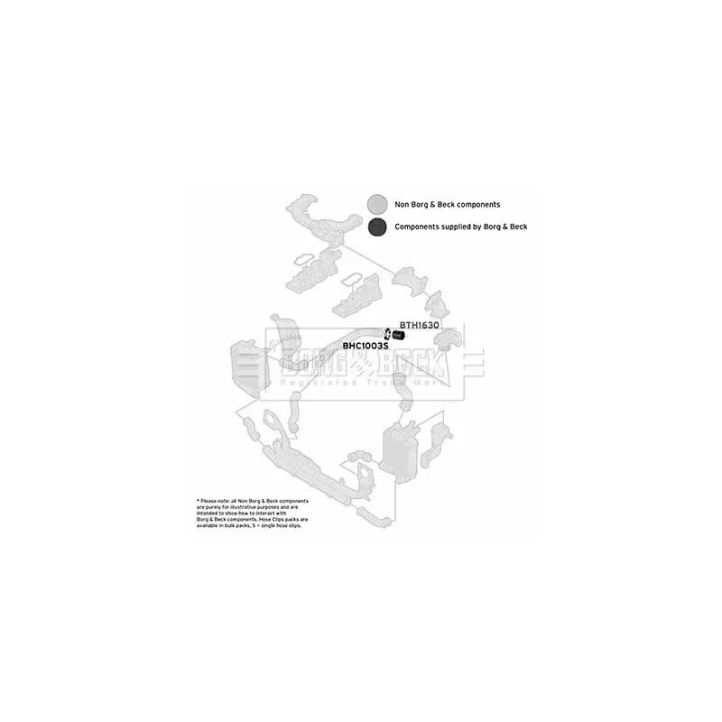 Gaine de suralimentation BORG & BECK BTH1630 - Visuel 2