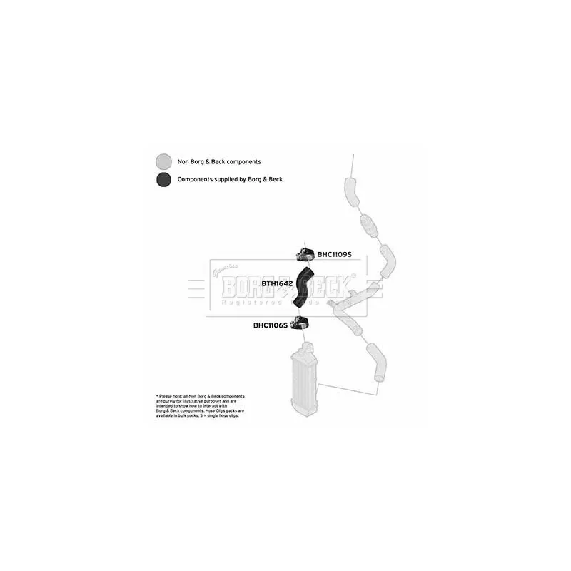 Gaine de suralimentation BORG & BECK BTH1642 - Visuel 2