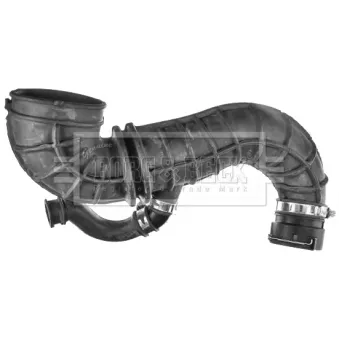 Tuyau d'aspiration, alimentation d'air BORG & BECK OEM 7T169R504AC