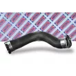 BORG & BECK BTH1673 - Gaine de suralimentation