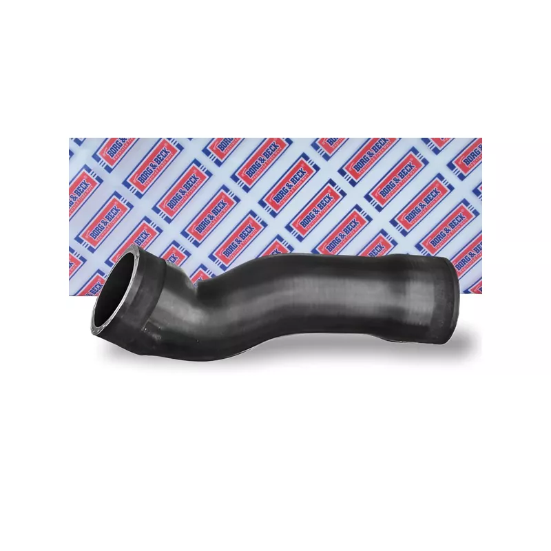 Gaine de suralimentation BORG & BECK BTH1686 - Visuel 1