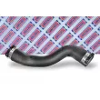 BORG & BECK BTH1690 - Gaine de suralimentation
