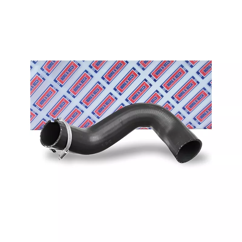 Gaine de suralimentation BORG & BECK BTH1697 - Visuel 1