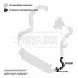 BORG & BECK BTH1697 - Gaine de suralimentation