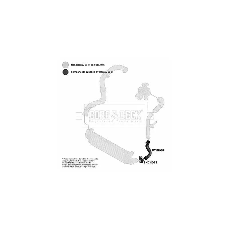 Gaine de suralimentation BORG & BECK BTH1697 - Visuel 2