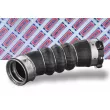 BORG & BECK BTH1704 - Gaine de suralimentation