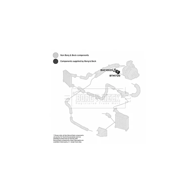 Gaine de suralimentation BORG & BECK BTH1720 - Visuel 2