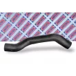 BORG & BECK BTH1722 - Gaine de suralimentation